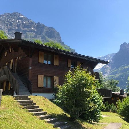 Apartment Chalet Sunneblick By Interhome Γκρίντελβαλντ Εξωτερικό φωτογραφία